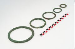 Foto von Bronzering (NHMW-PRAE-035787)